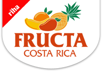 Fructa logo